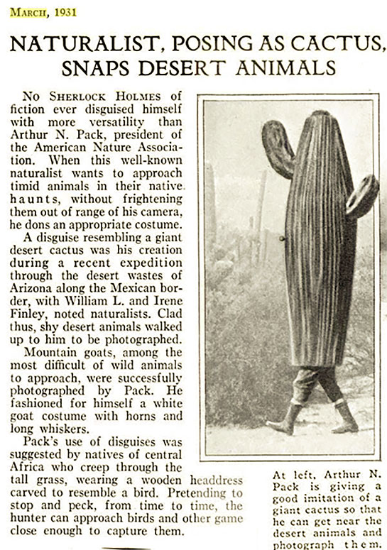 A.N. Pack in Cactus Costume, March 1931 (Source: PS)